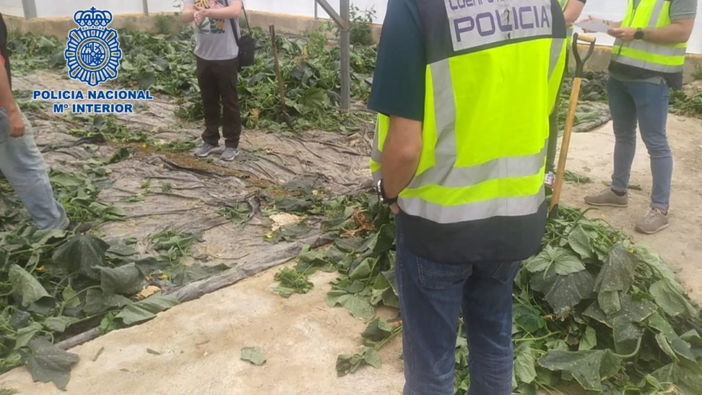 Operación Brácula policia