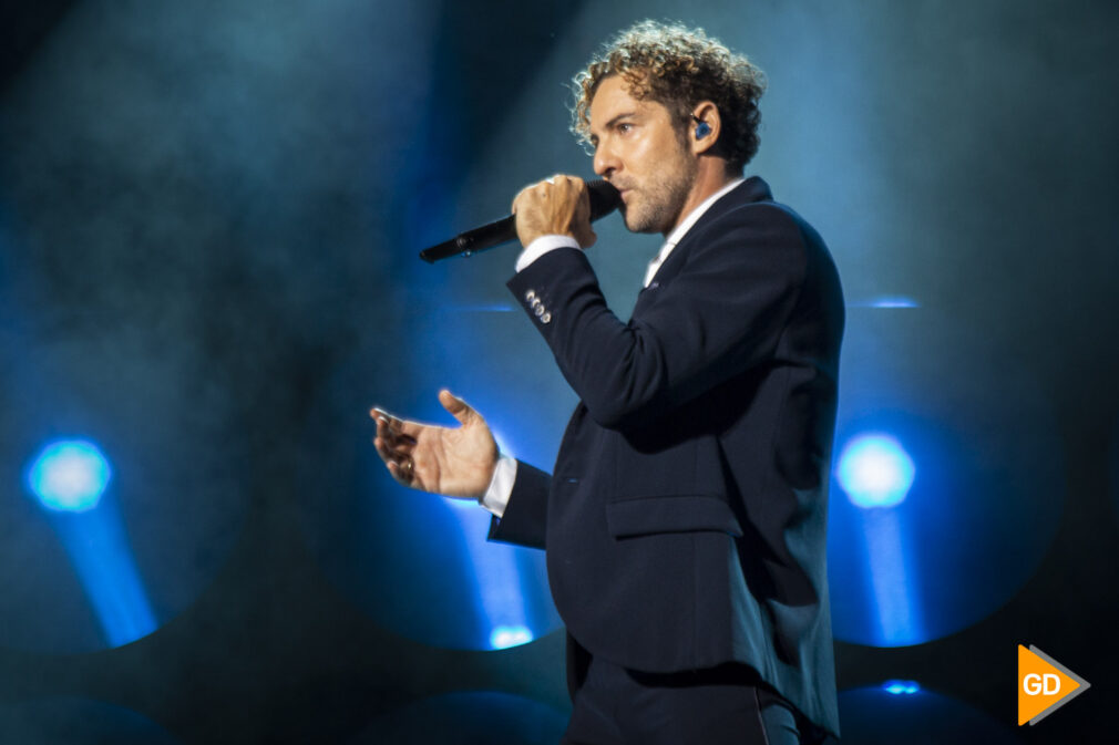 Concierto de David Bisbal en el palacio de los deportes de Granada