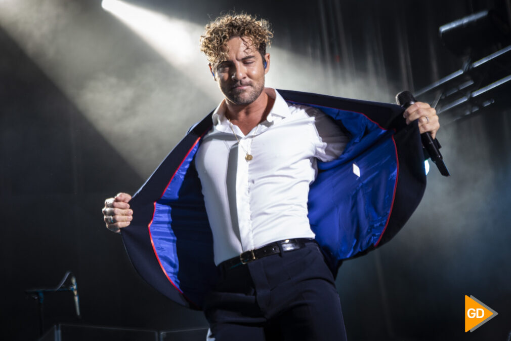 Concierto de David Bisbal en el palacio de los deportes de Granada