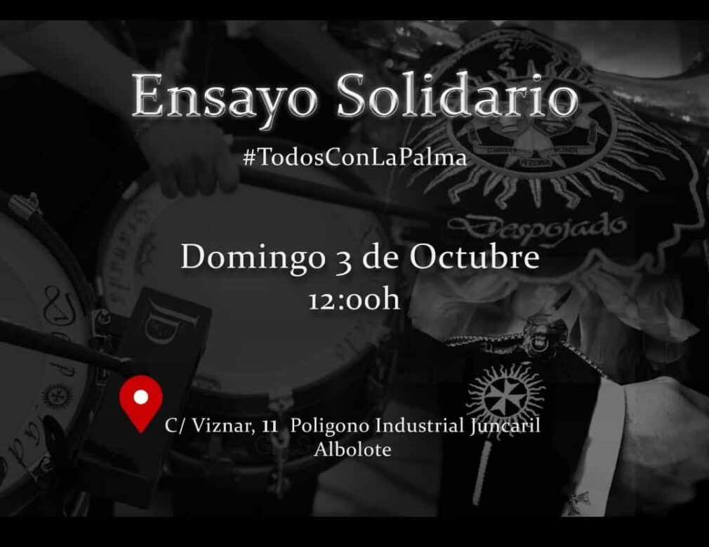 ensayo solidario despojado la palma volcan