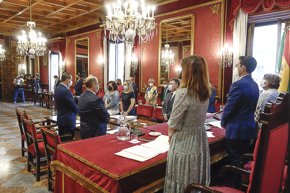 Pleno Ayuntamiento Granada