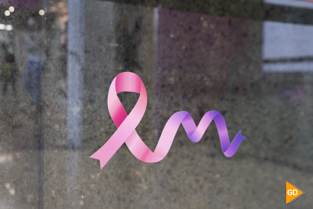 La Asociación Amama celebra un desfile de bañadores mujeres operadas de cáncer de mama