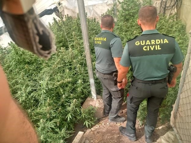 Operación Tetis contra la marihuana en Cijuela