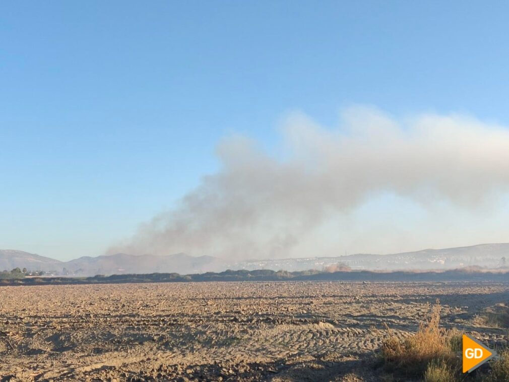 Columna de humo por quema controlada de rastrojos en Purchil (Vegas del Genil) o Albolote, Granada, incendio