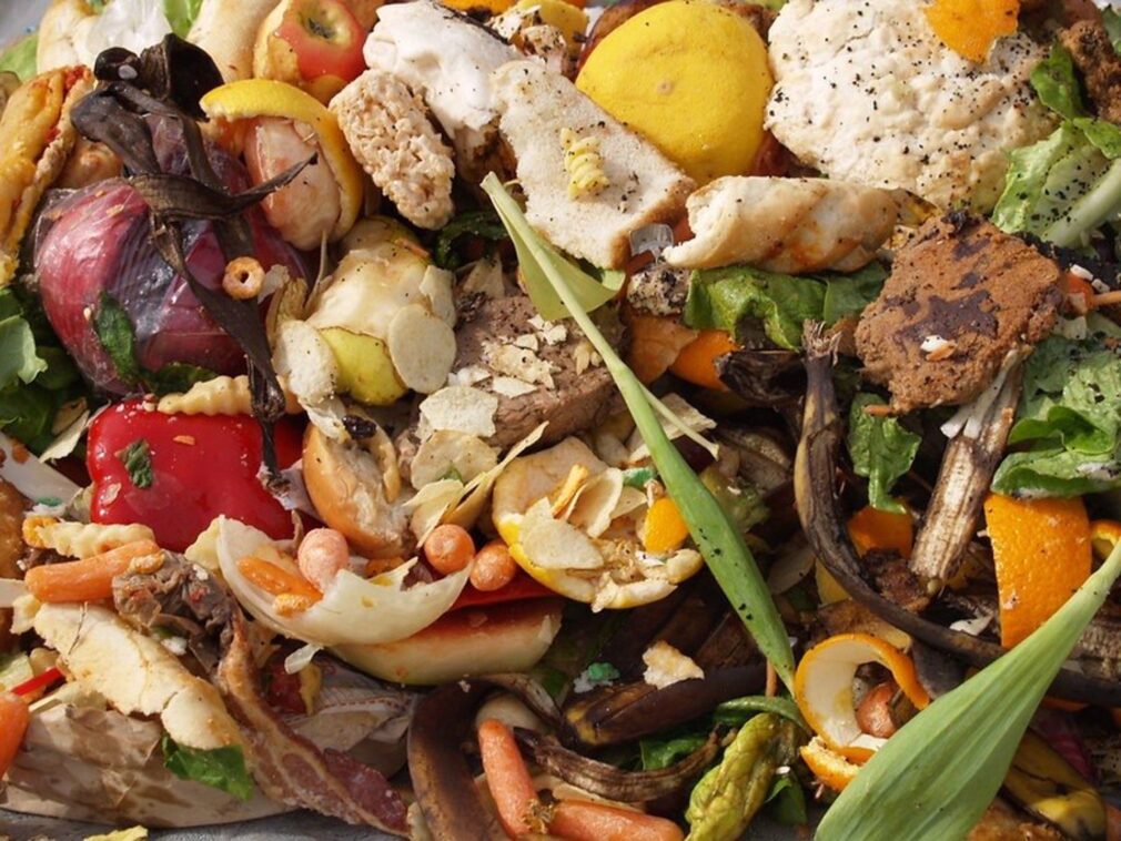 Consejo.- El Gobierno quiere fomentar la venta de alimentos "feos" pero óptimos para consumir para evitar su desperdicio