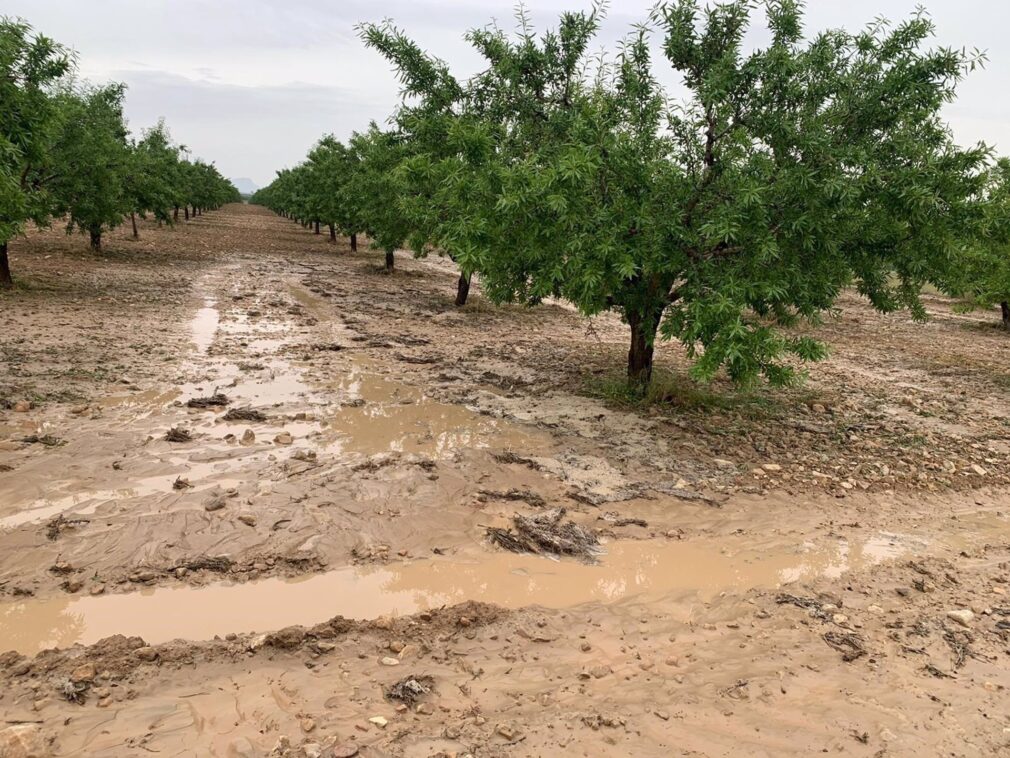 Granada.- Puebla de Don Fadrique cifra daños del temporal en dos millones de euros y pide ayudas a las administraciones