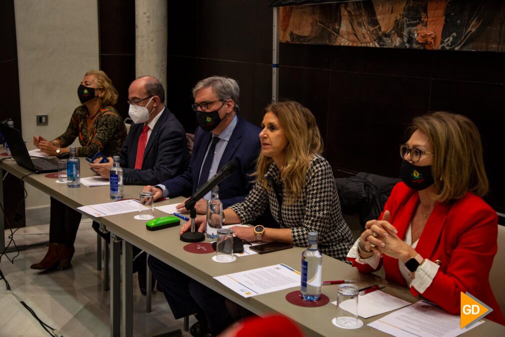 FOTOS Juntos por Granada ha presentado este lunes su iniciativa política (2)