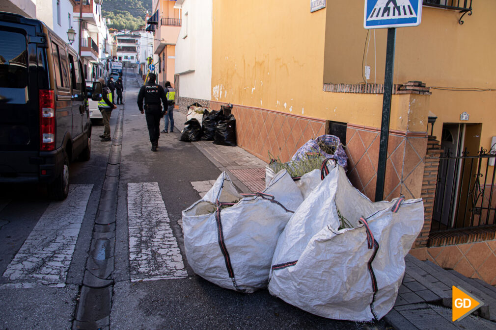 FOTOS La Policía Nacional lleva a cabo la “Operación Otrofrente” contra el tráfico de drogas - Javi Gea (4)