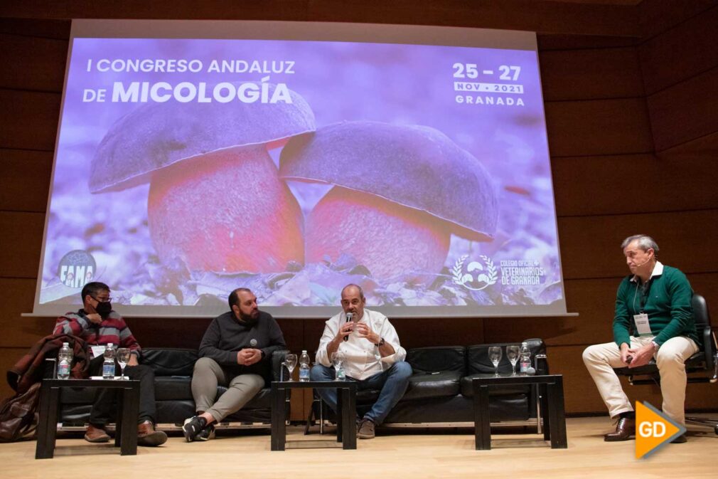 I FORO MICOLOGIA ANDALUZ COLEGIO VETERINARIOS - Dani Bayona-6