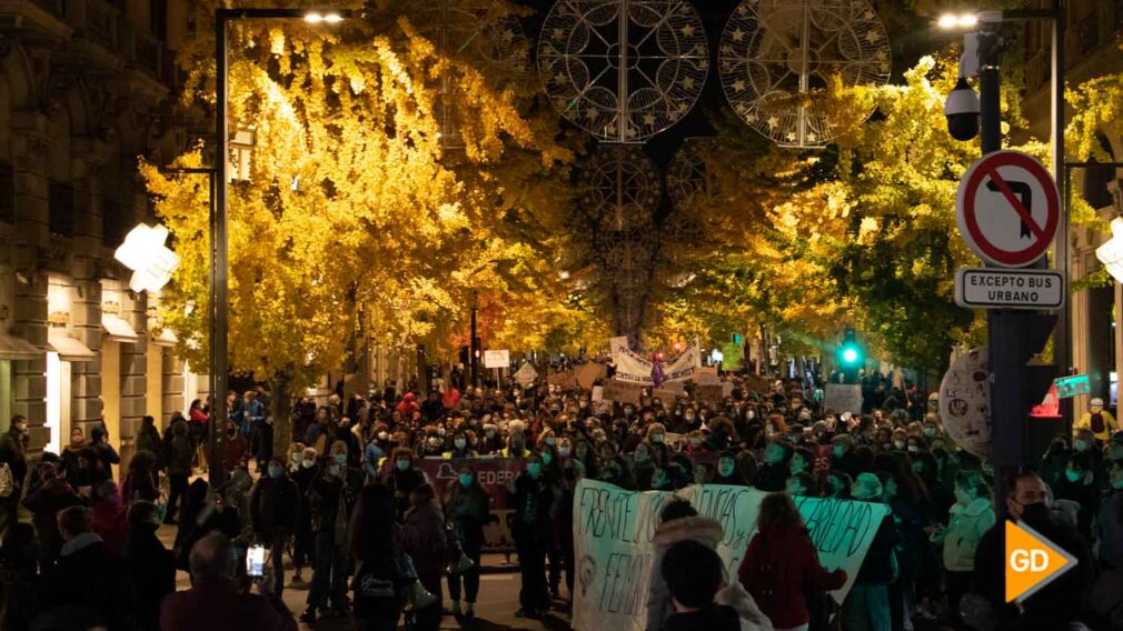 Manifestacion 25N Carlos Gijón (14 de 17)