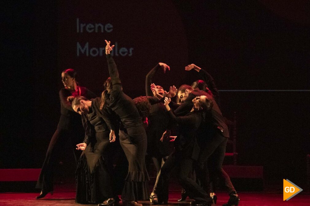 Premios Flamenco enlas aulas Carlos Gijón_-10