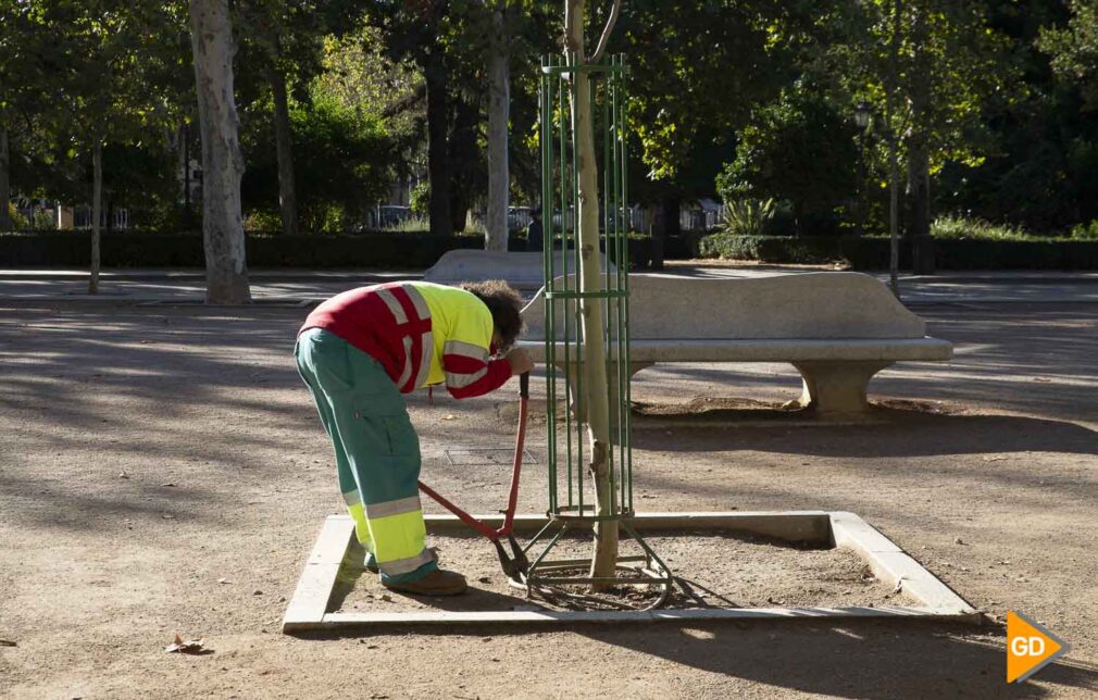 empleo paro Trabajo Carlos Gijon_