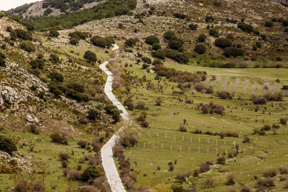 carretera El Purche