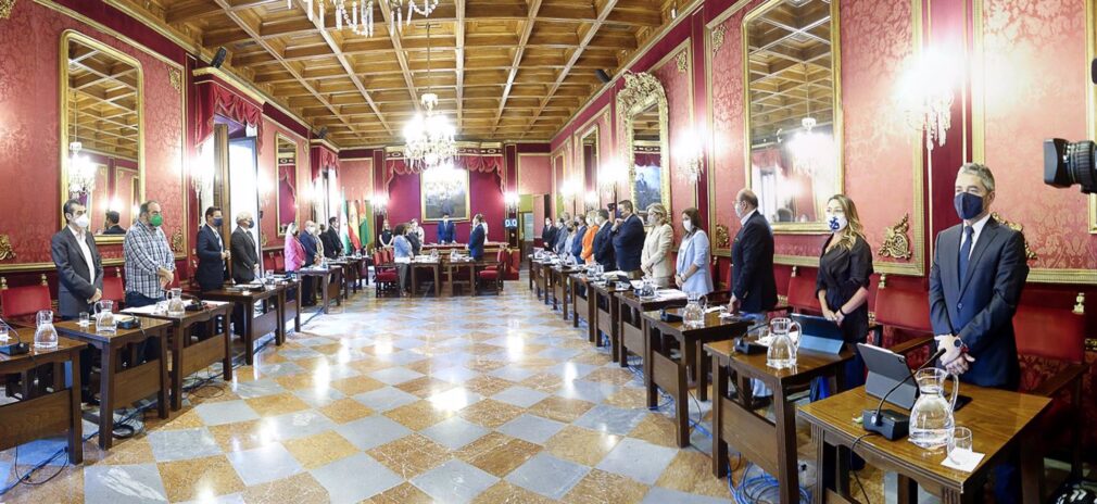 Pleno Ayuntamiento