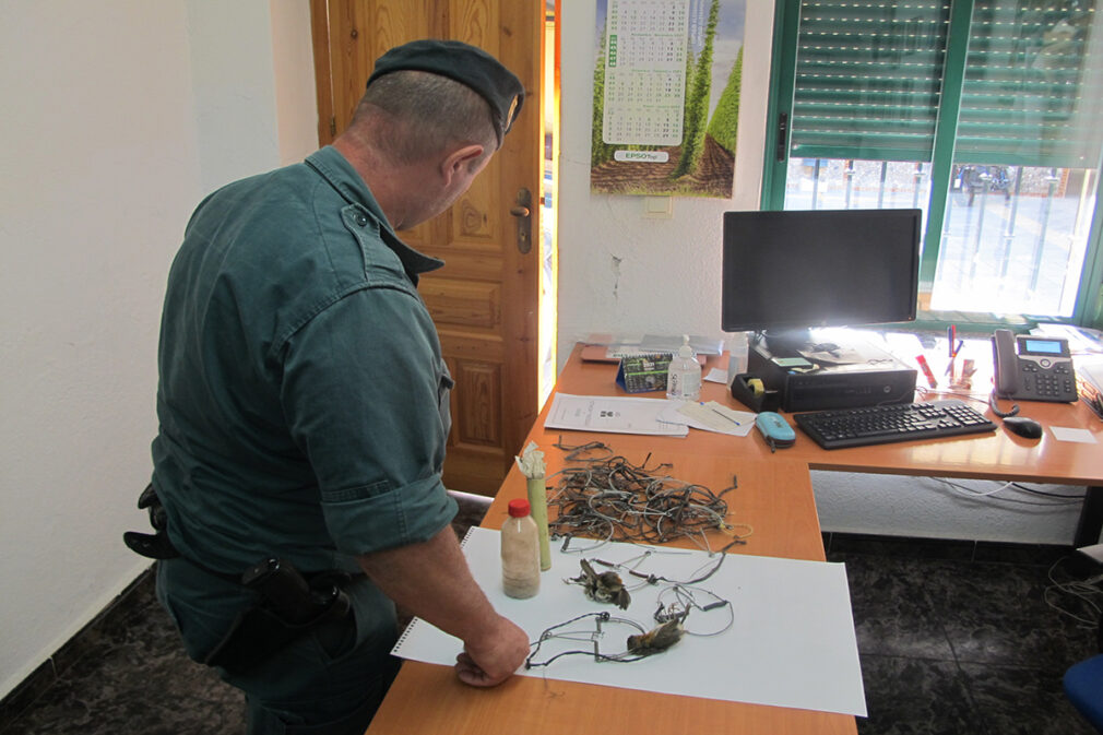 guardia civil aves protegidas