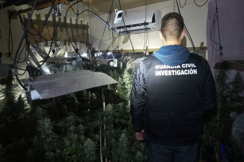 Marihuana Guardia Civil