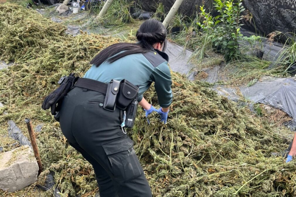 Guardia Civil incauta 9.000 kilos marihuana Torvizcón