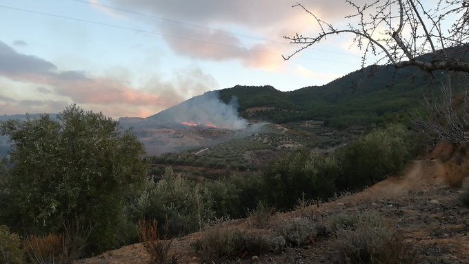 incendio el valle - plan infoca