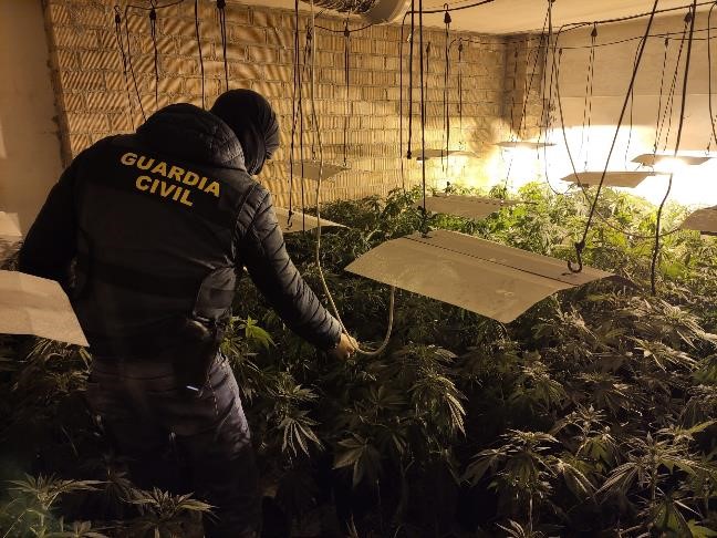 Agente de la Guardia Civil encauta la marihuana