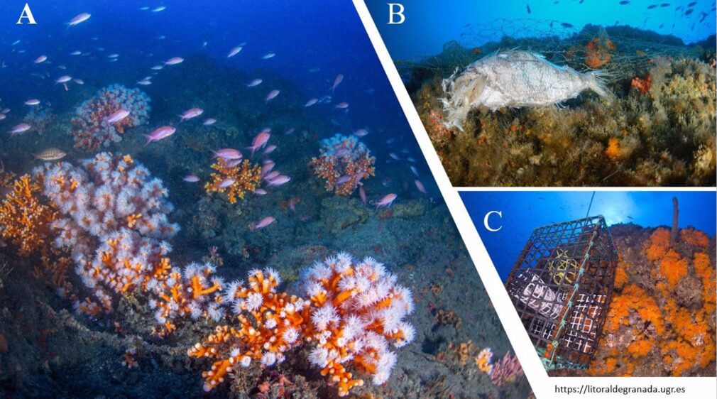 Granada.- Apoyan la regulación de actividades en la Punta de la Mona para preservar los corales