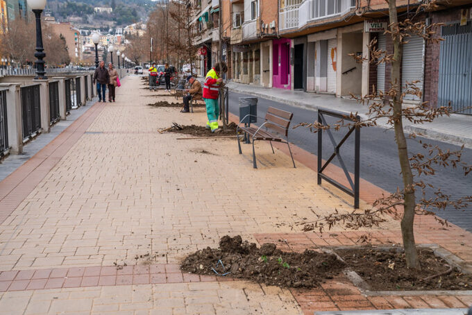 árbol árboles