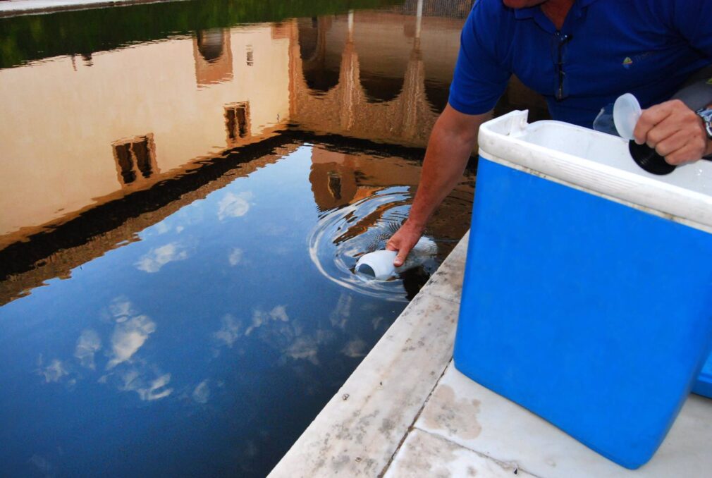 Granada.- La Alhambra licita la toma de muestras y el análisis de agua de riego del monumento