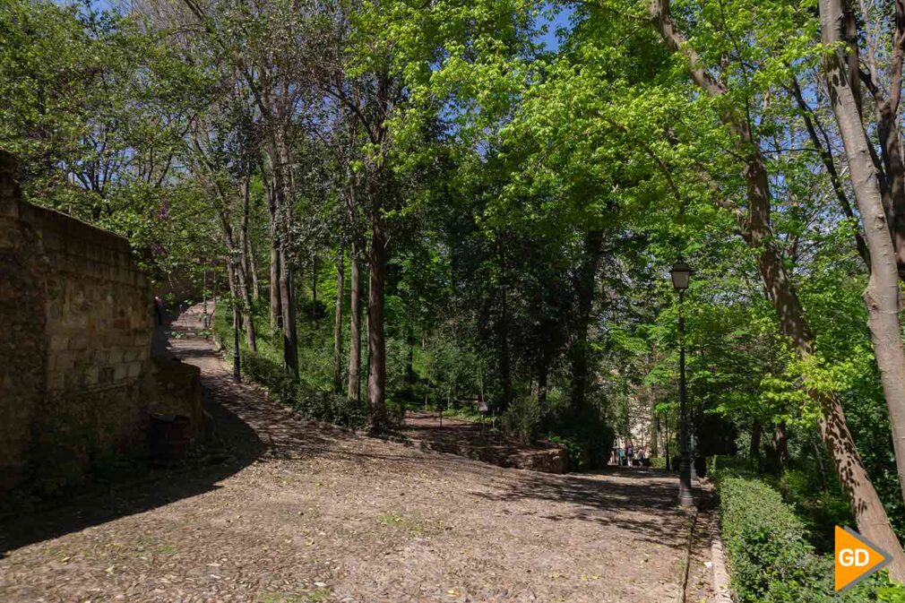 BOSQUE DE LA ALHAMBRA - PAULA SANTANDER (2)