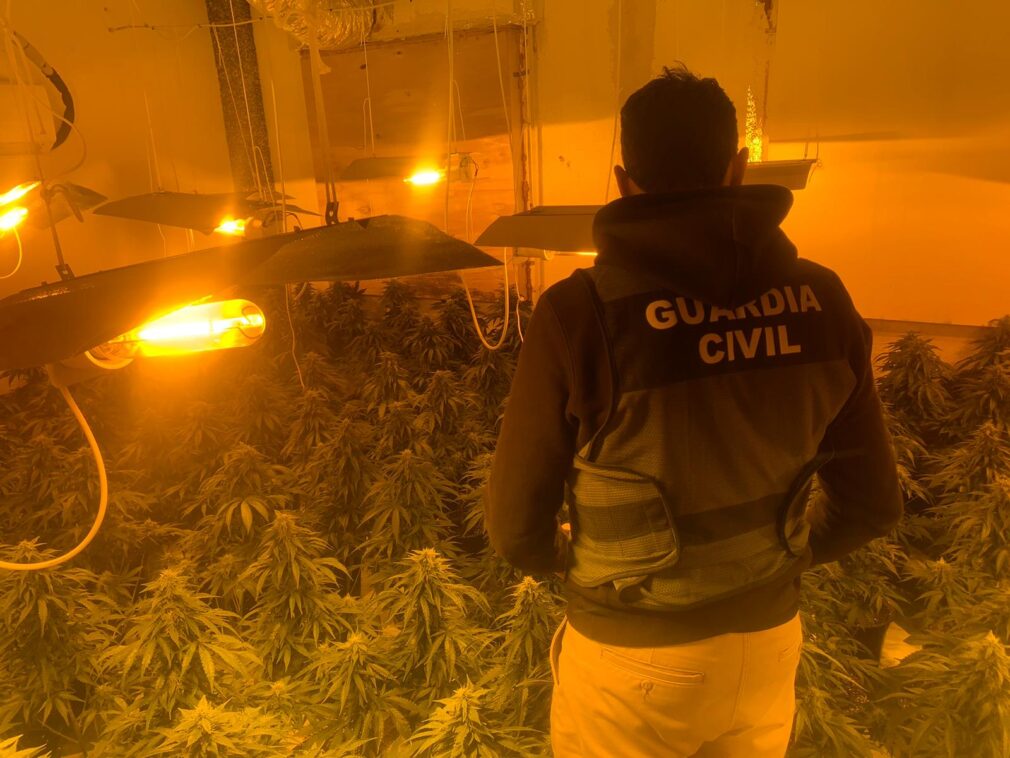 Marihuana cannabis Guardia Civil