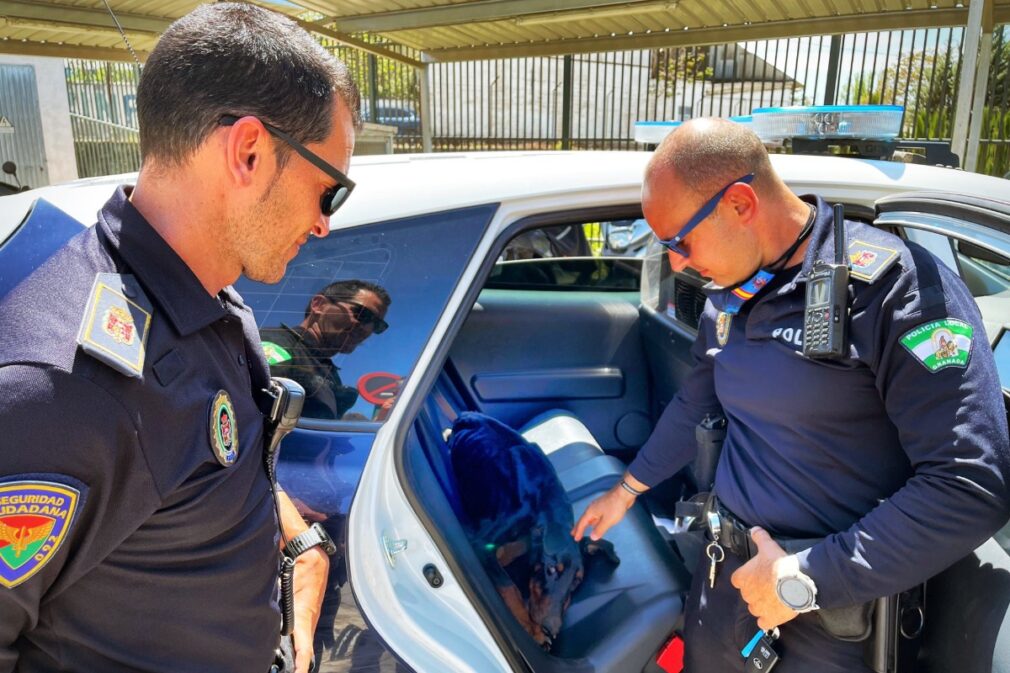 perrorescatado-policialocal