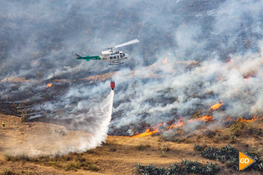 FOTOS INCENDIO EN CERRO DE SAN MIGUEL (14)