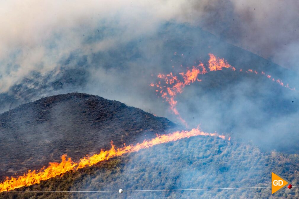 FOTOS INCENDIO EN CERRO DE SAN MIGUEL (15)