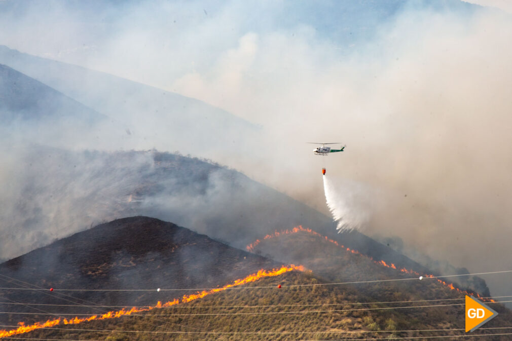 FOTOS INCENDIO EN CERRO DE SAN MIGUEL (20)