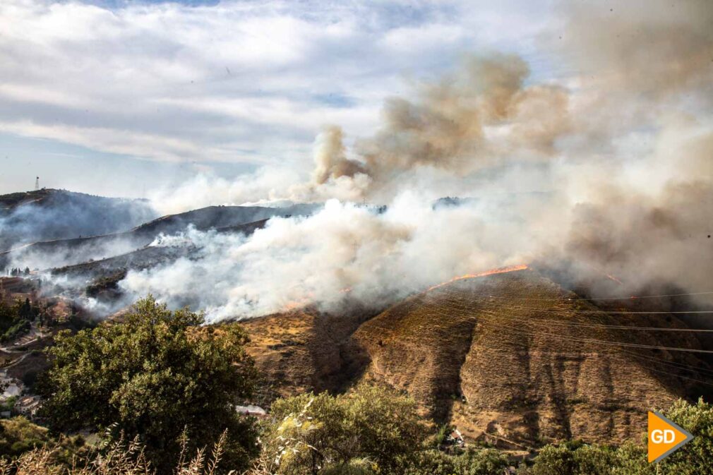 FOTOS INCENDIO EN CERRO DE SAN MIGUEL (3)