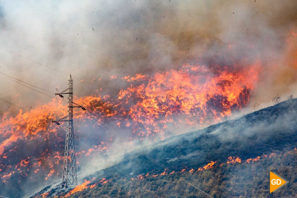 FOTOS INCENDIO EN CERRO DE SAN MIGUEL (6)