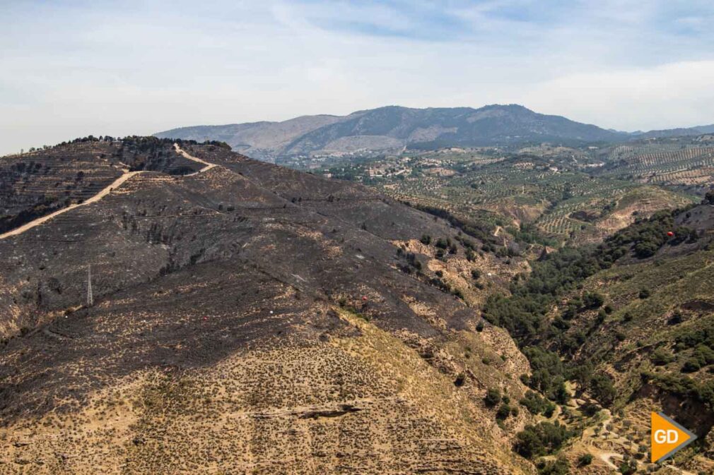 FOTOS Superficie arrasada por el fuego (1)