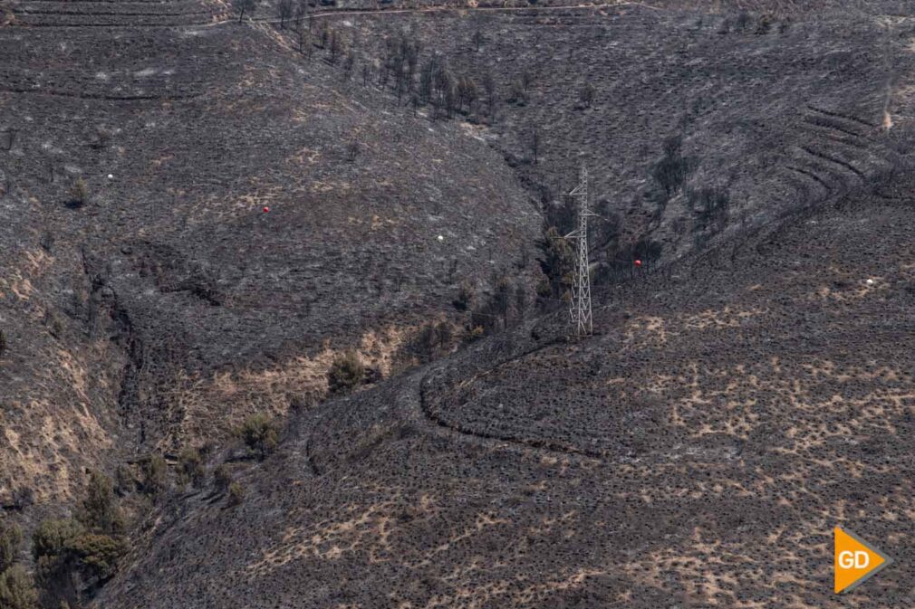 FOTOS Superficie arrasada por el fuego (6)