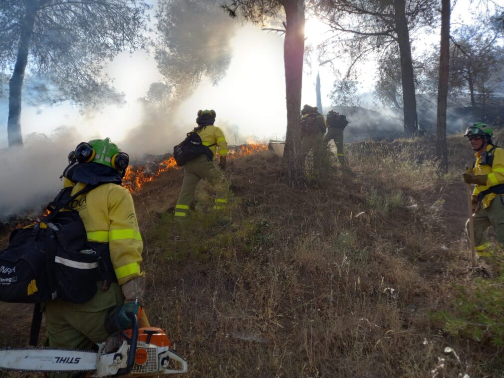 Incendio forestal San Miguel Alto