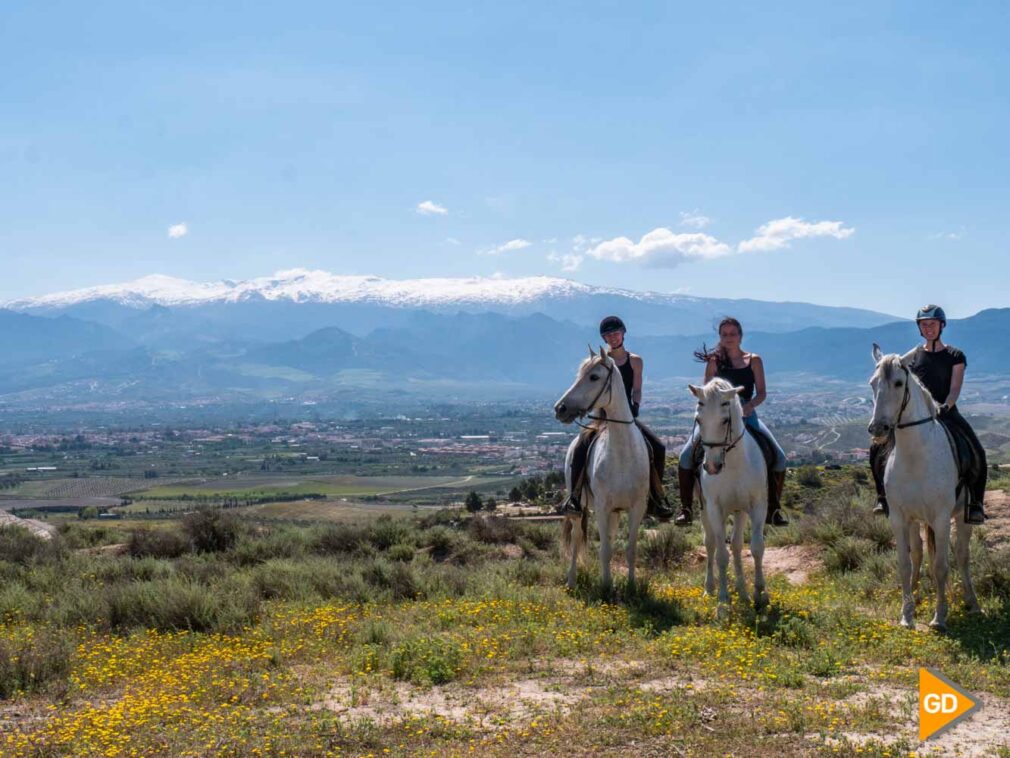 TURISMO ANDALUZ RUTAS A CABALLO - DANI B-2