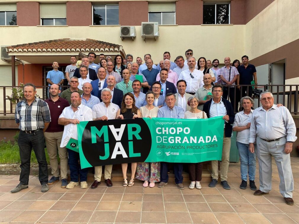 Granada.- Más de 70 productores andaluces con 1.300 hectáreas se asocian para el cultivo del chopo