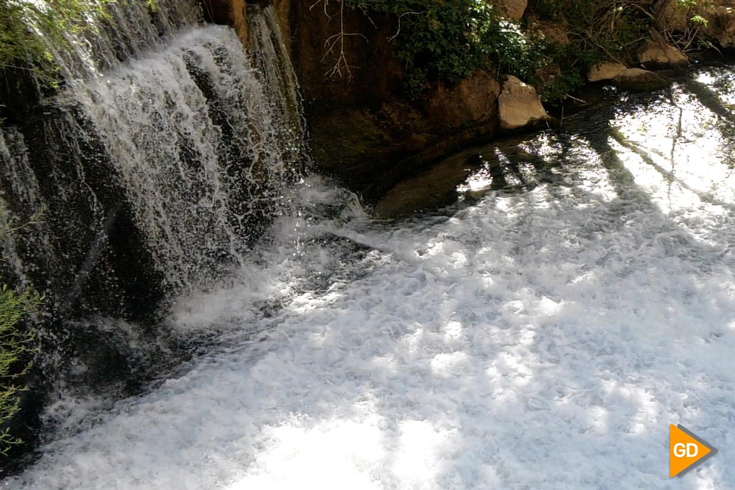 Piscina para perros perfecta para soportar la ola de calor: ahora