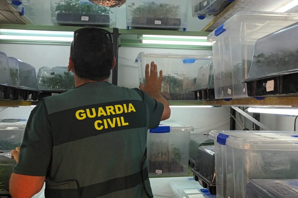 laboratorio-esquejes-marihuana-guardia-civil