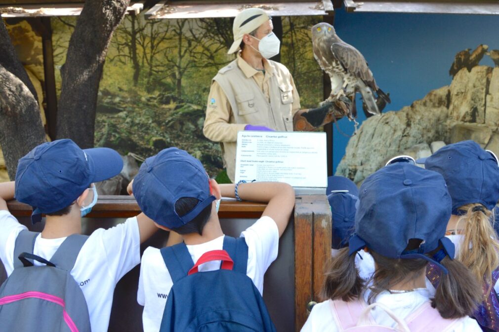 verano-ciencia-parque-ciencias-granada-niños