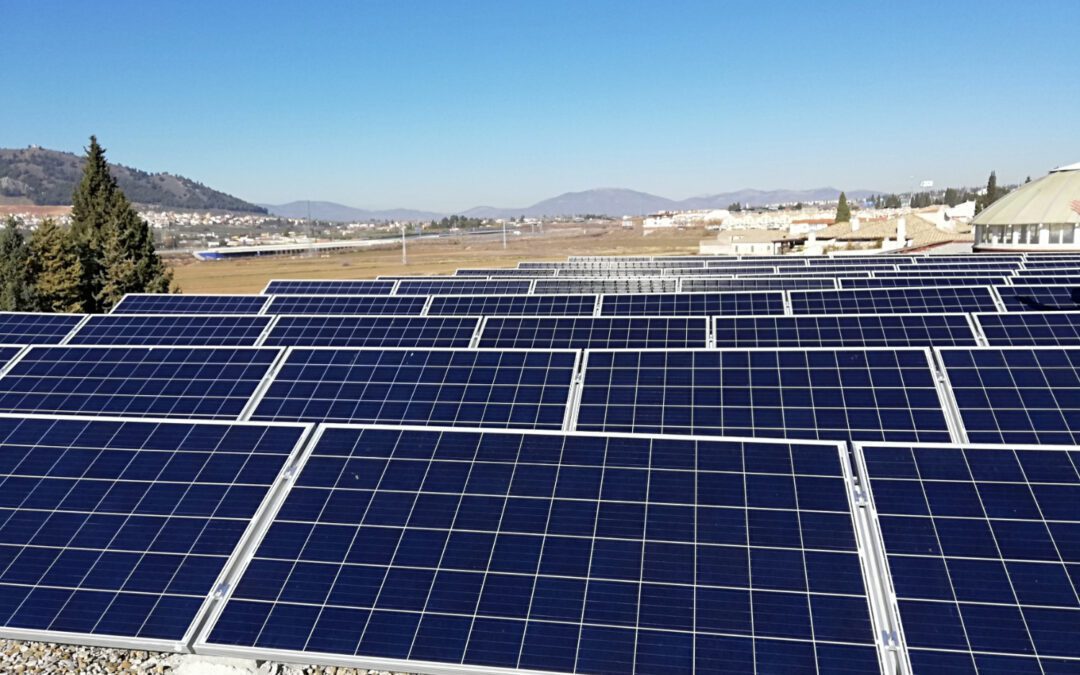 Evolución del precio de las placas solares: ahorro y sostenibilidad al alcance de todos