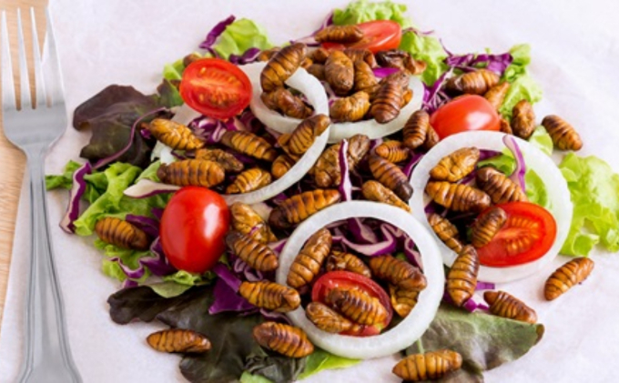 Insectos comestibles comida