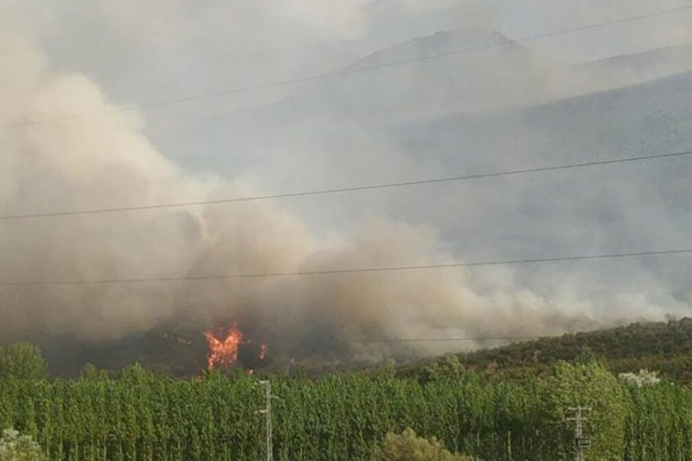 Incendio Pinos Puente extendido