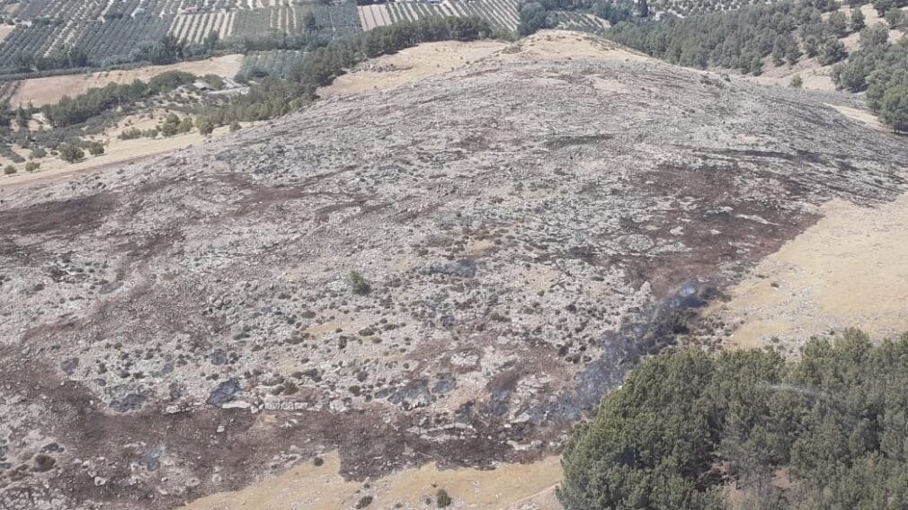 Incendio Forestal en Pinos Puente