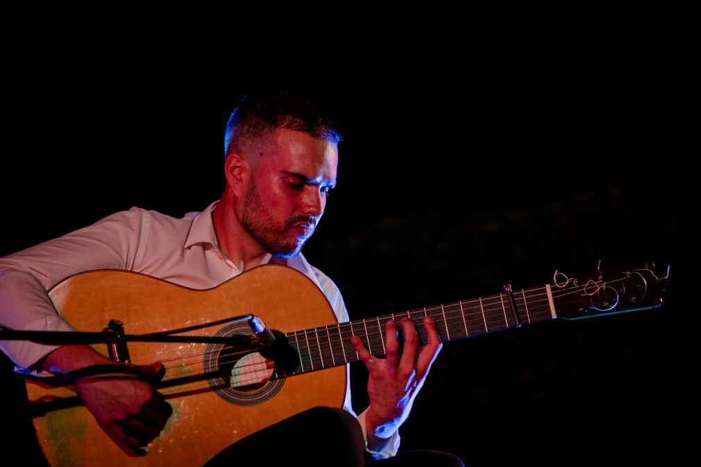 JOSÉ FERMÍN fernandez guitarra