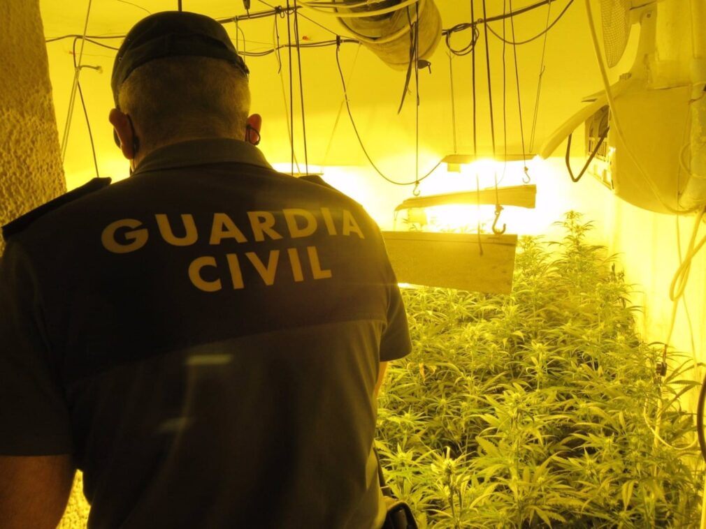 Granada.- Sucesos.- Descubiertas en Santa Fe 15 viviendas enganchadas a la luz con 1.356 plantas de marihuana