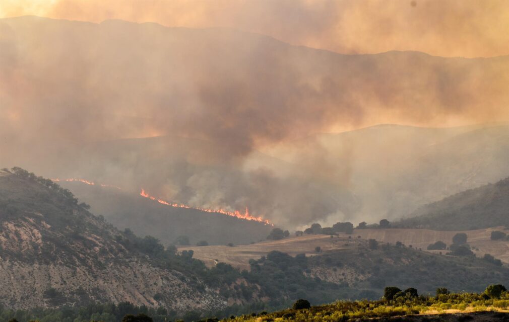 Incendio forestal