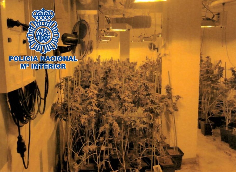 plantacion-marihuana-sotano-policia-nacional